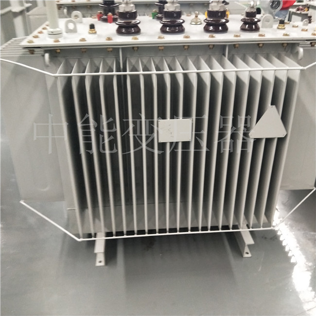 丽水S20-800KVA变压器