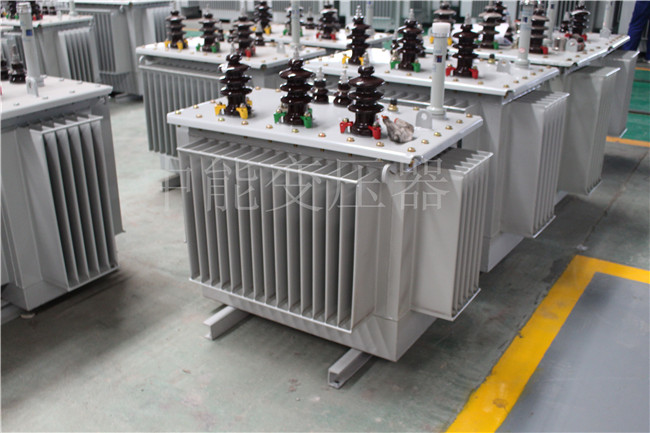 丽水S22-100KVA/10KV/0.4KV变压器